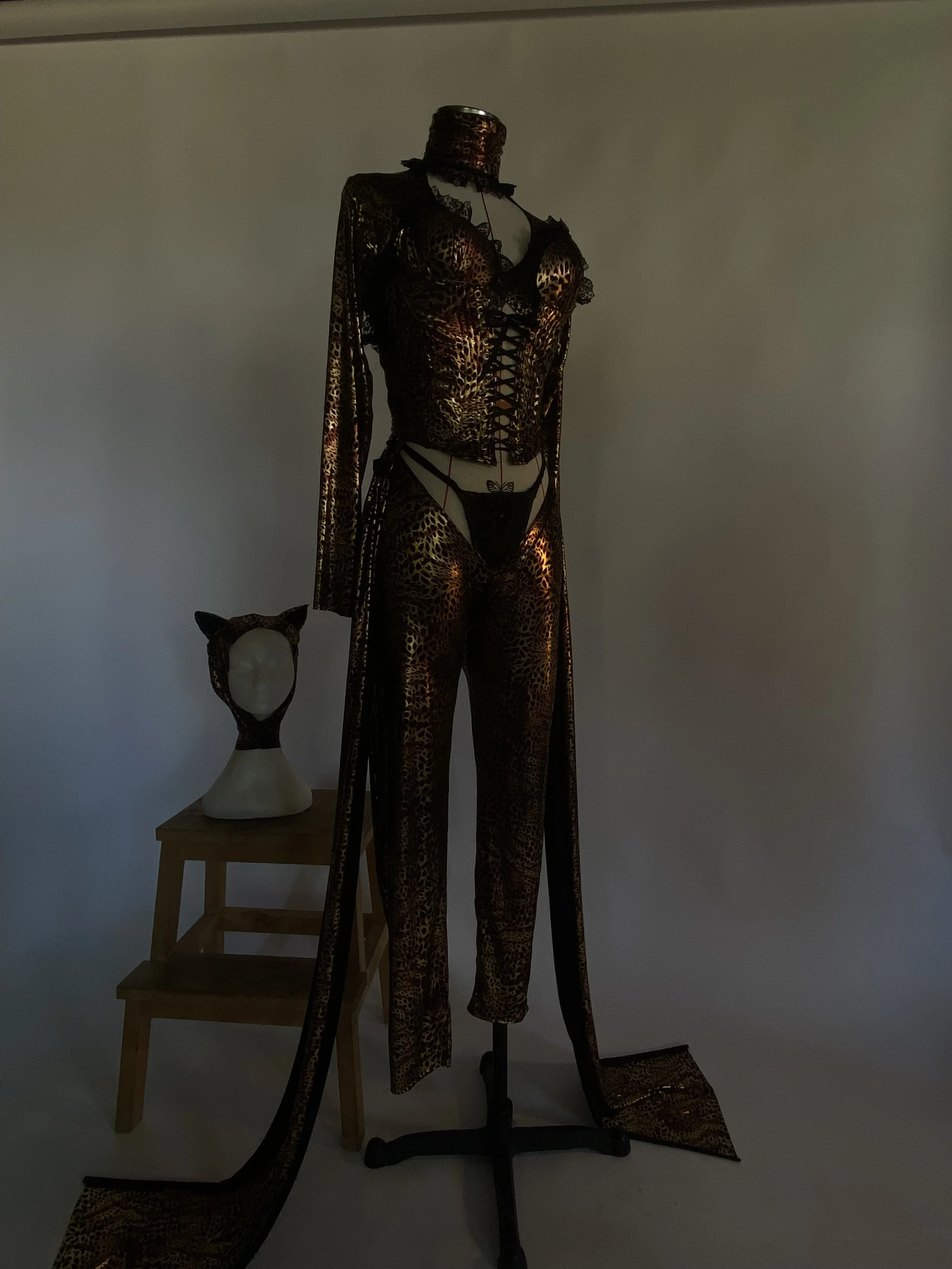 Kylie Minogue Athletica, Homecoming tour 2006 inspired kitty catsuit for Wilma Hickey Heel
Shot by Williamfhenderson 
