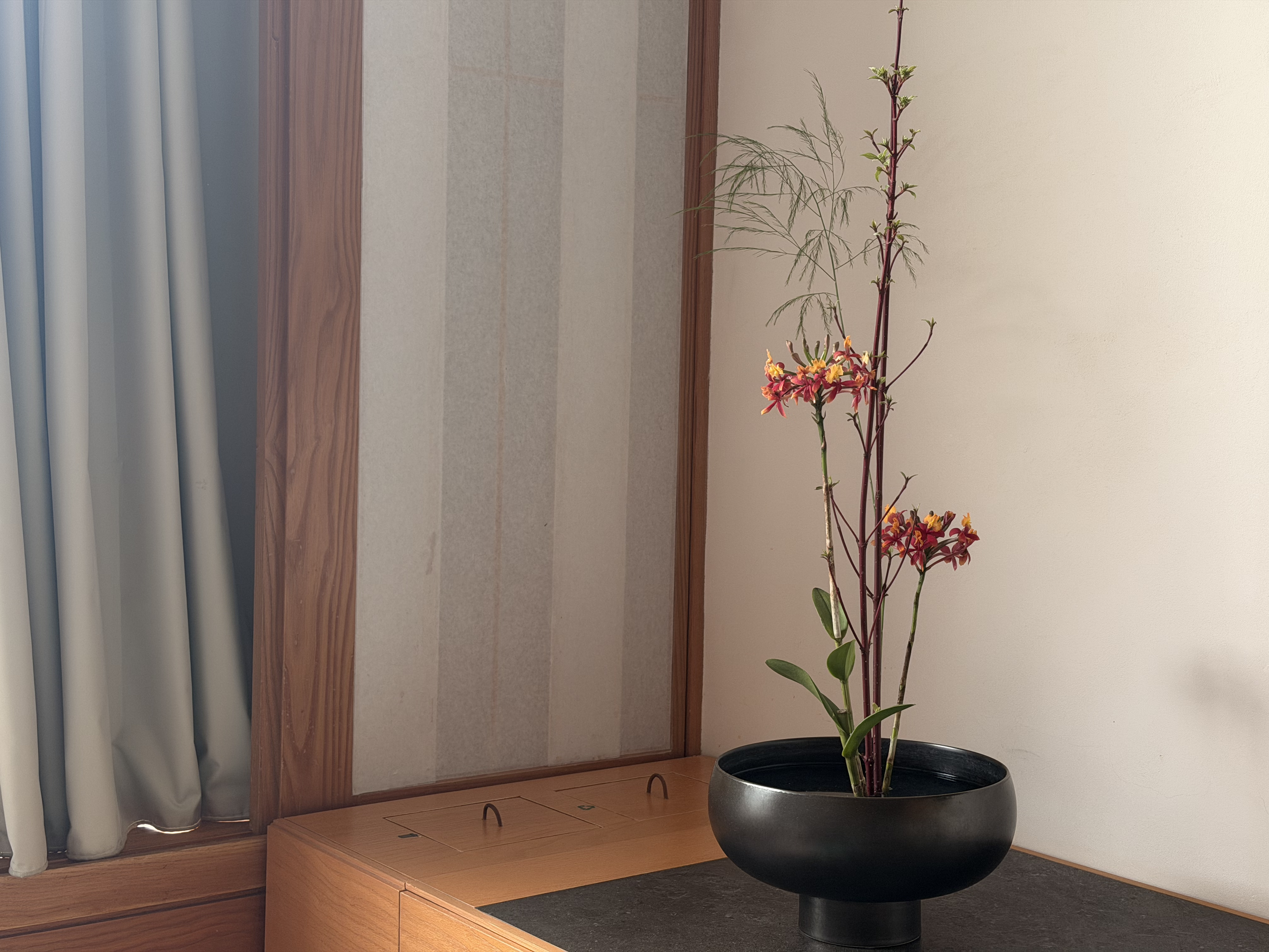 {march} gentle reemergence: moving Into spring without urgency 