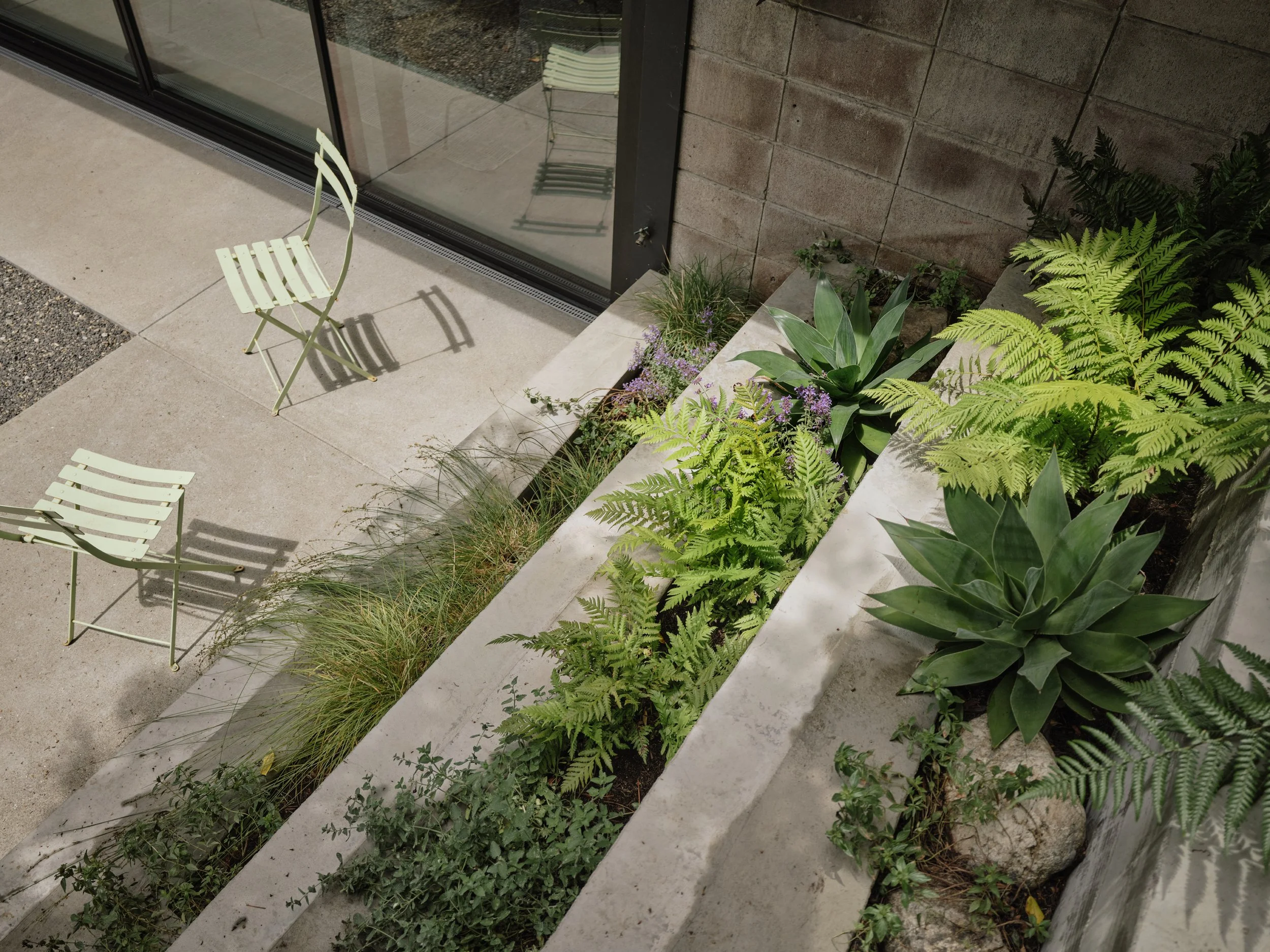 Two light green metal chairs on a concrete patio, with a glass door reflecting sunlight. A concrete planter box filled with green plants and ferns, with a large succulent and purple flowers, next to a brick wall.