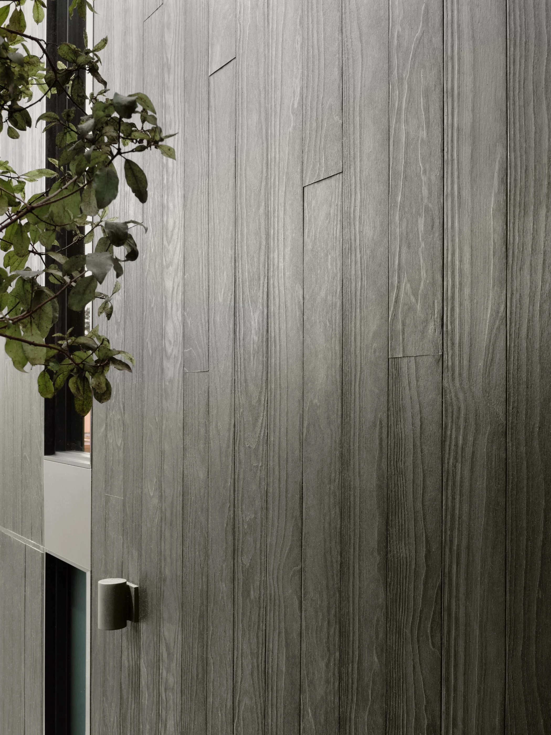 Close-up of a modern gray wooden wall with vertical planks and a small opening with a plant on the left side.