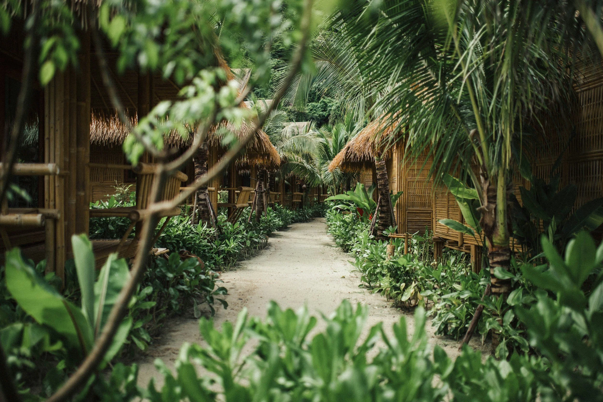 A pathway through a tropical resort with lush green plants, bamboo fencing, and thatched-roof huts.