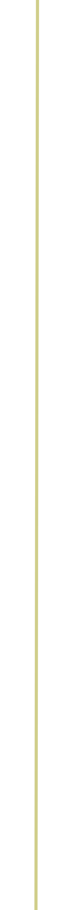 A vertical, golden, metallic pole with a thick, black holder in the middle, attached to a black base. The background is plain and gray.