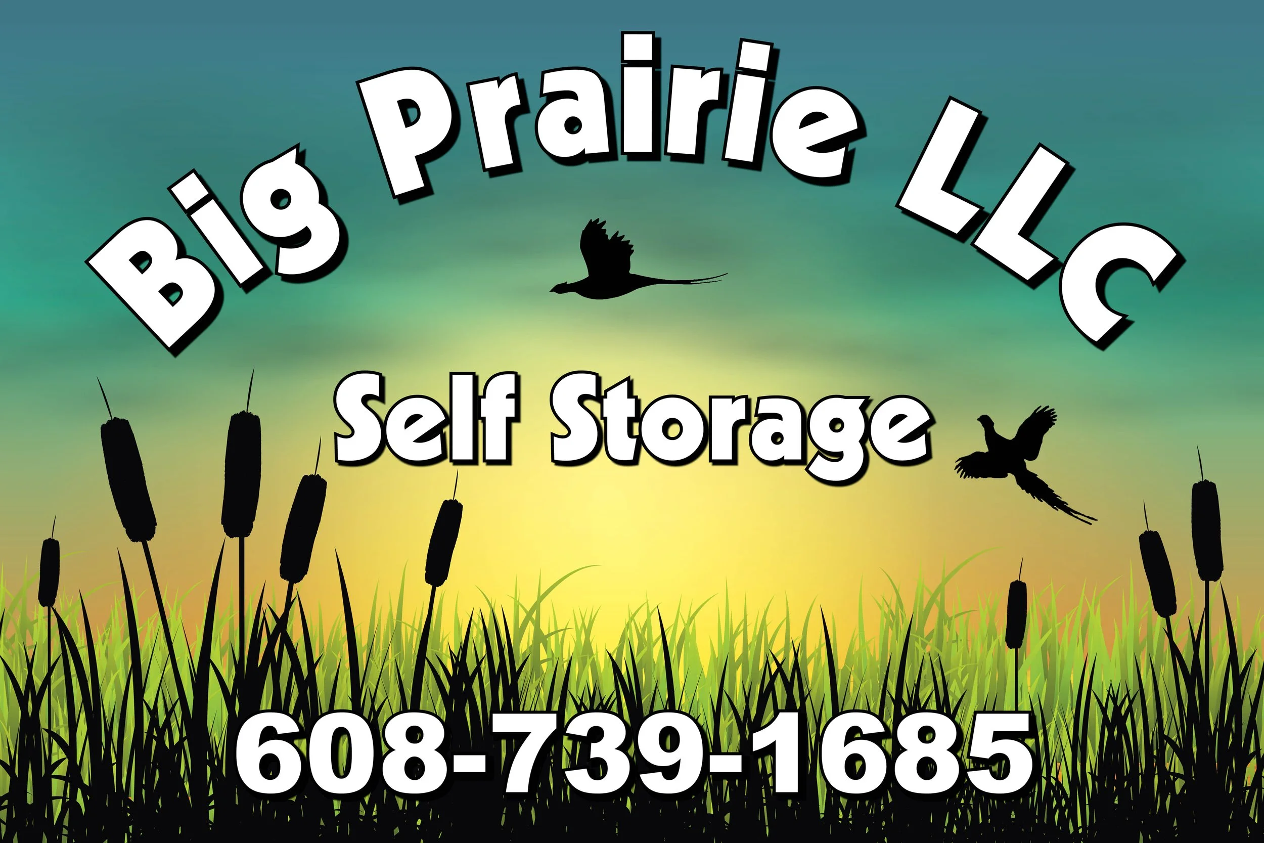 Sign for Big Prairie LLC Self Storage with a background of green grass, cattails, and silhouettes of flying birds at sunset.