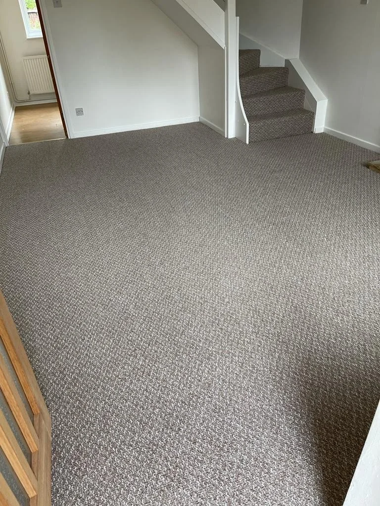 image_6483441 (15).JPG