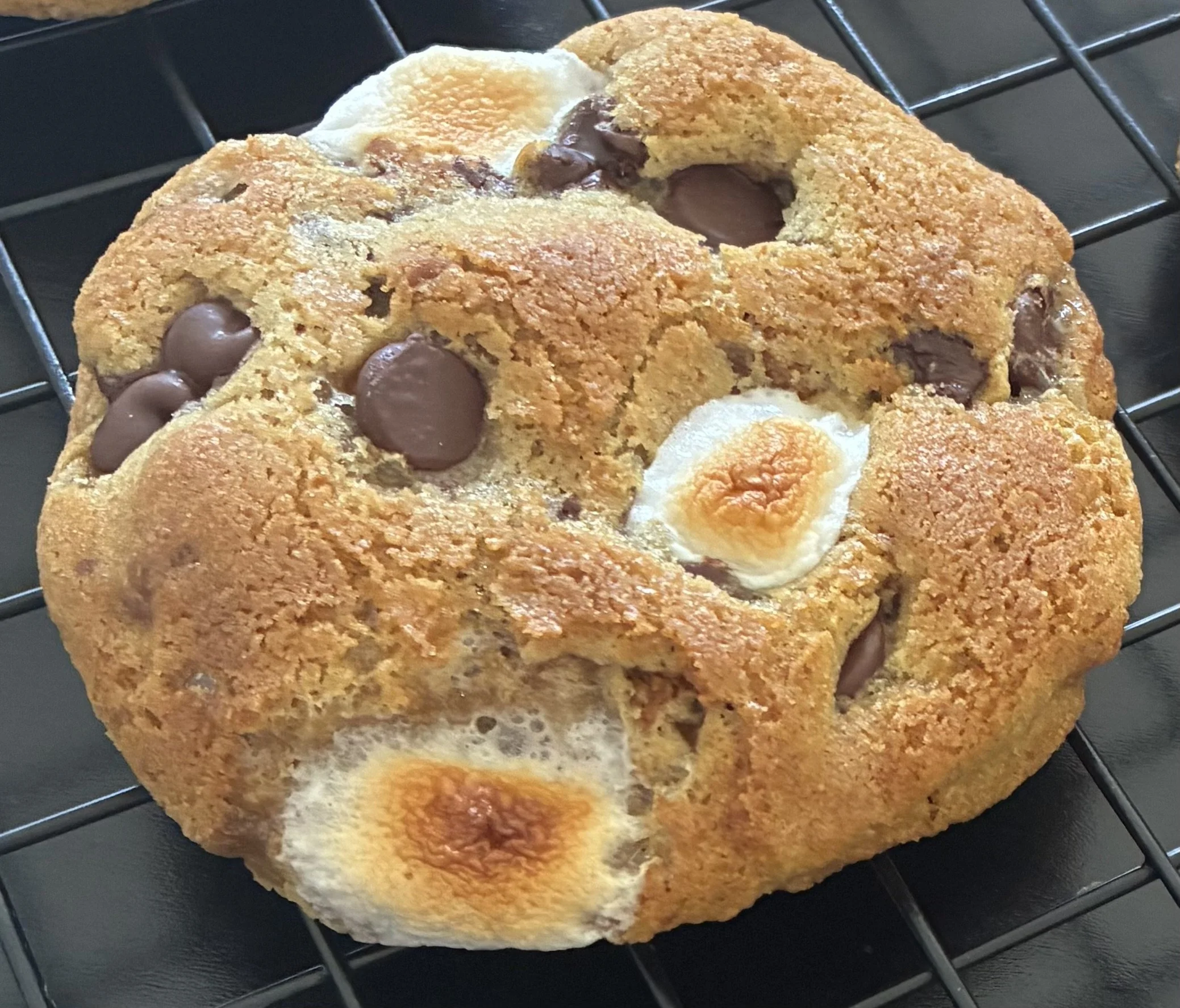 foto campfire cookies.jpg