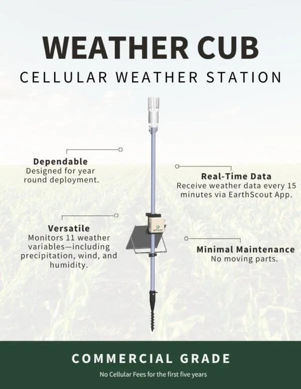 WEATHER-CUB-FINAL_Website-1-600x776.jpg