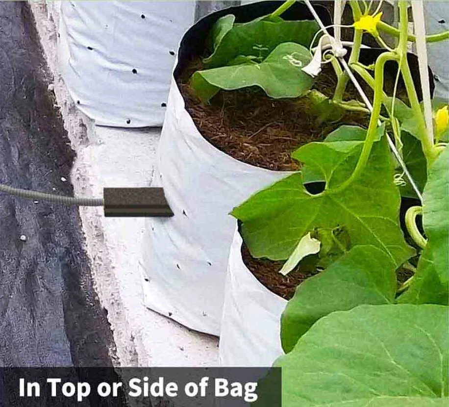 in top or side of bag.jpg