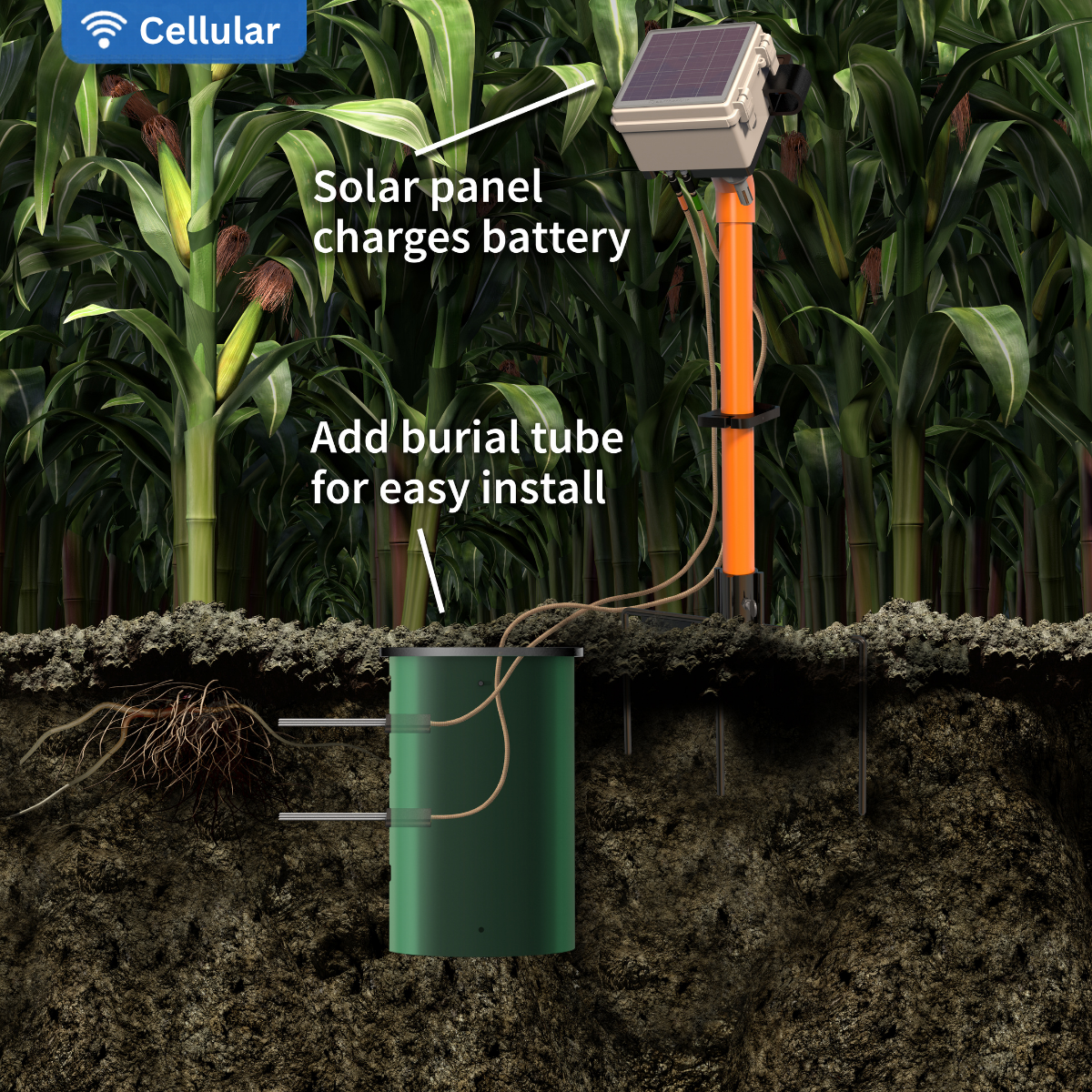 l4+ w burial tube.png