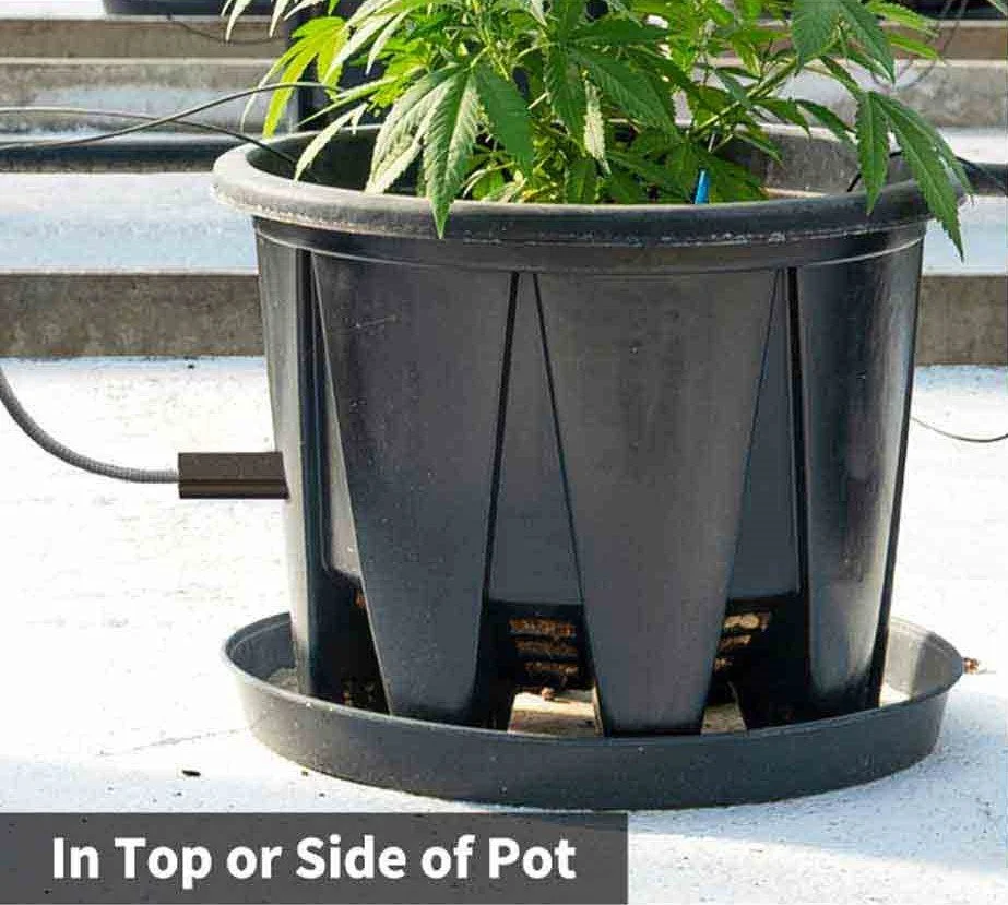 in top or side of pot.jpg