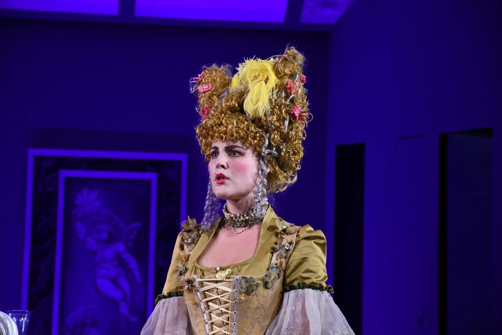 Elisetta- Il matrimonio segreto