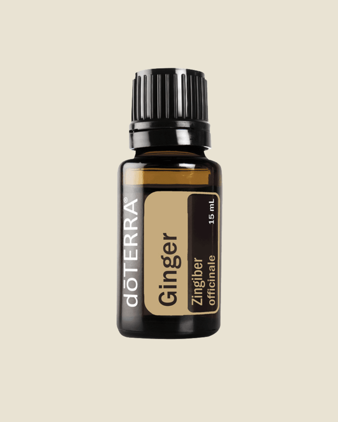 Ginger Essential Oil
