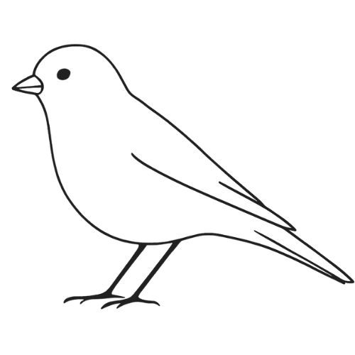 The Canary Community