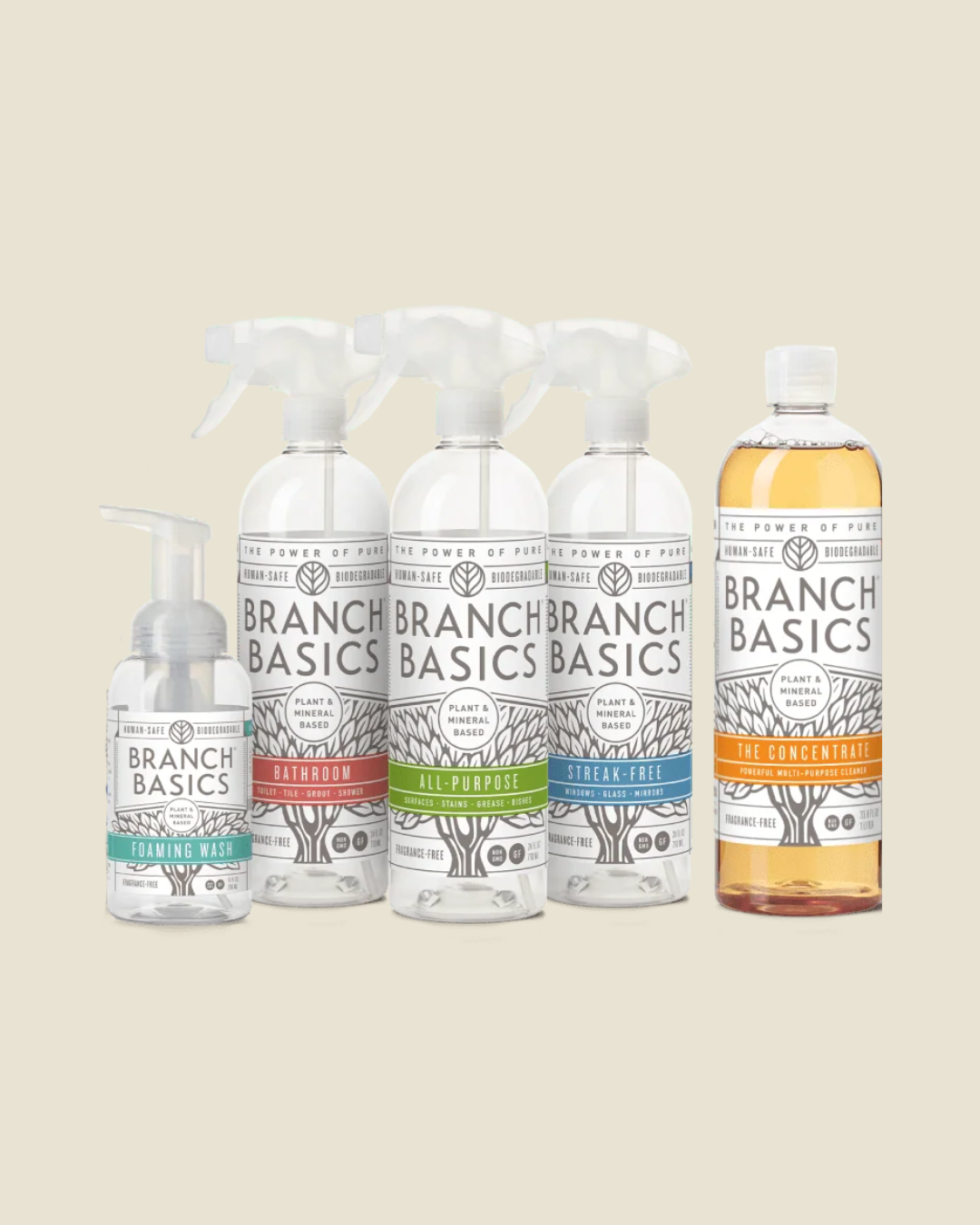 Back To School Teacher Gift (Cleaning Essentials)