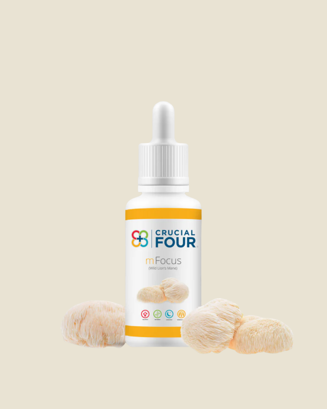 mFocus | Wild Lion's Mane