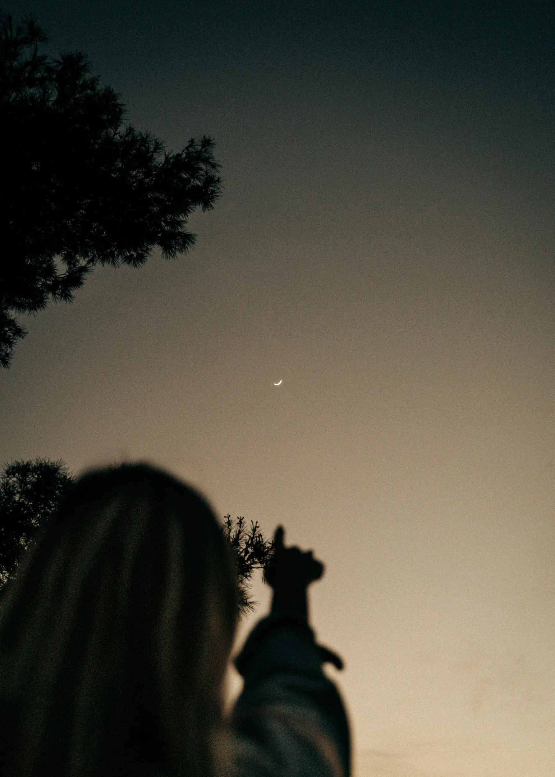 A person pointing at the crescent moon in the evening sky with trees silhouetted in the foreground.