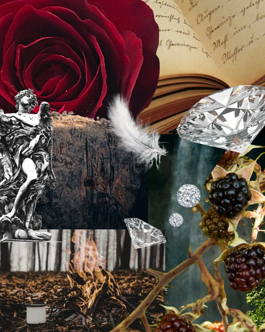 A collage featuring a red rose, an open book, diamonds, a metal sculpture of a woman, a burning fire in a forest, and blackberries.