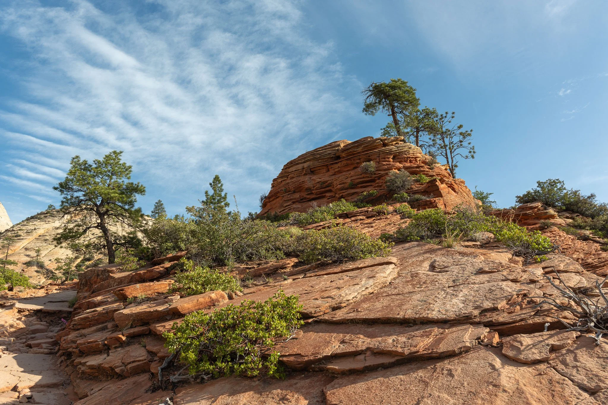 West Rim Trail in Zion National Park, Utah