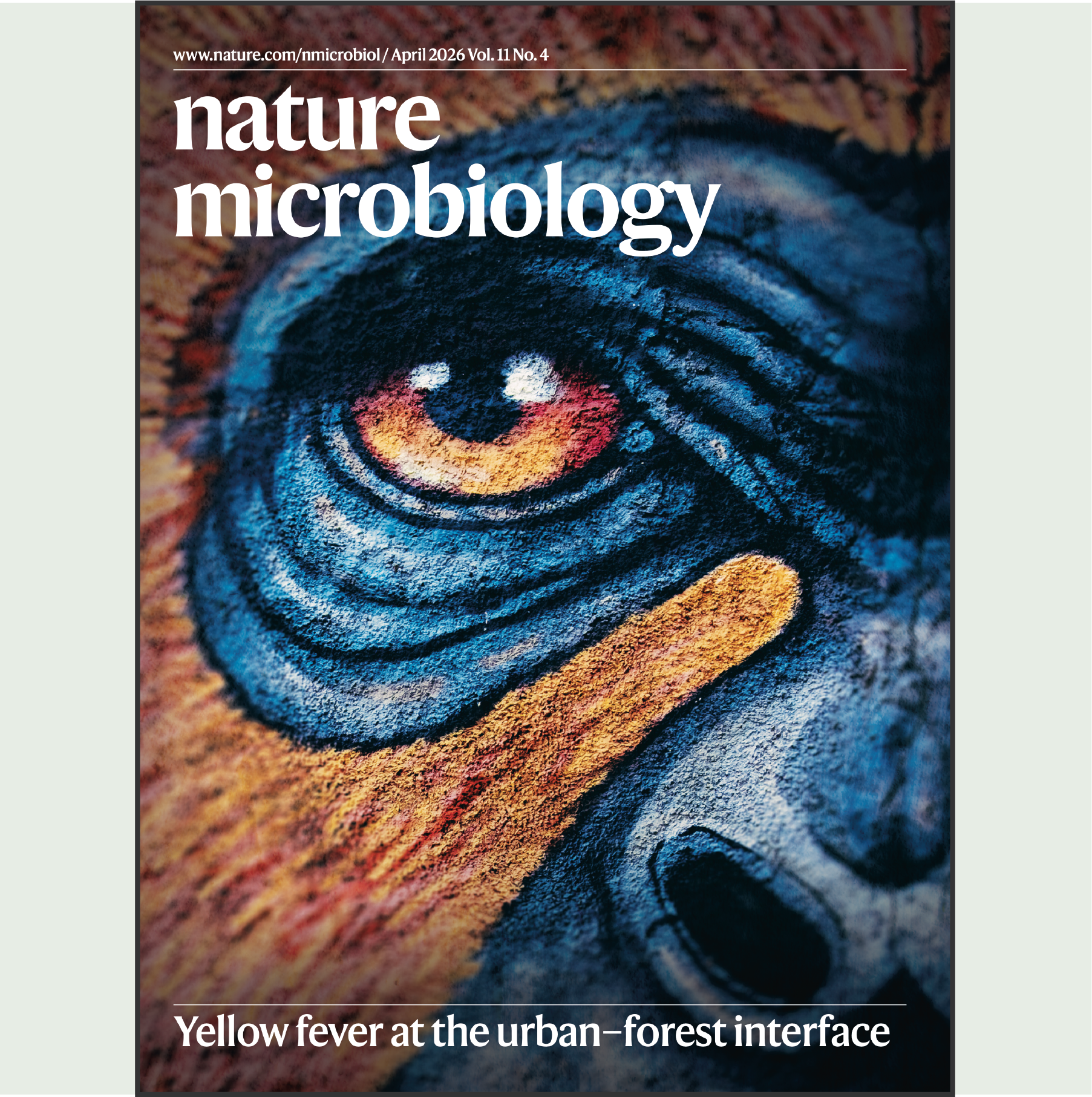 Zoonotic yellow fever in São Paulo, Brazil