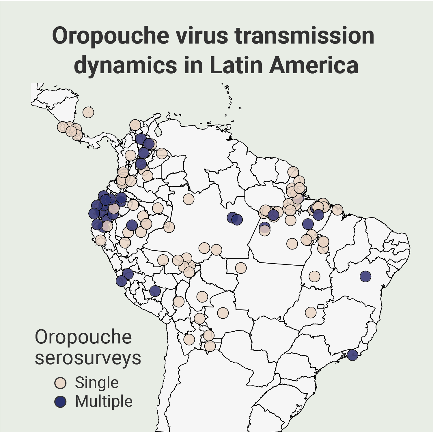 Oropouche transmission dynamics in Latin America