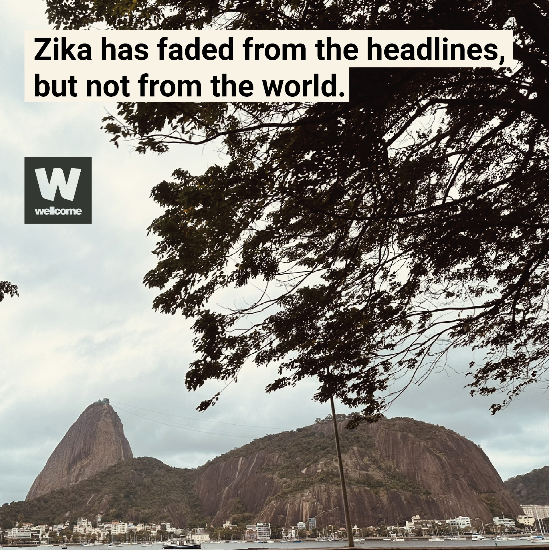 Ten years after the Zika Public Health Emergency