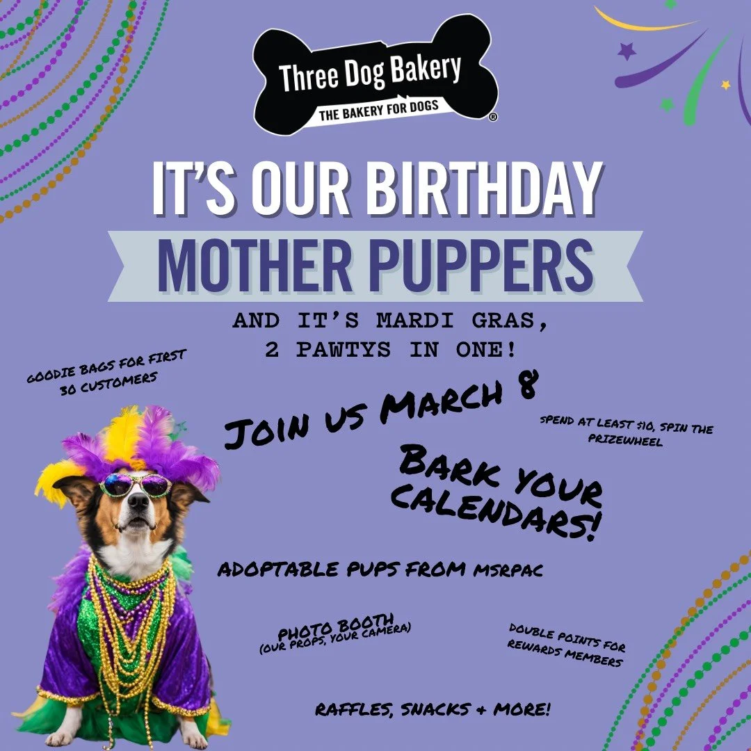 Purple background flyer for a dog-themed Mardi Gras birthday event by Three Dog Bakery. Features a dog dressed in Mardi Gras costume with beads, feathers, and sunglasses. Text announces birthday celebration on March 8 with activities like a photo boo
