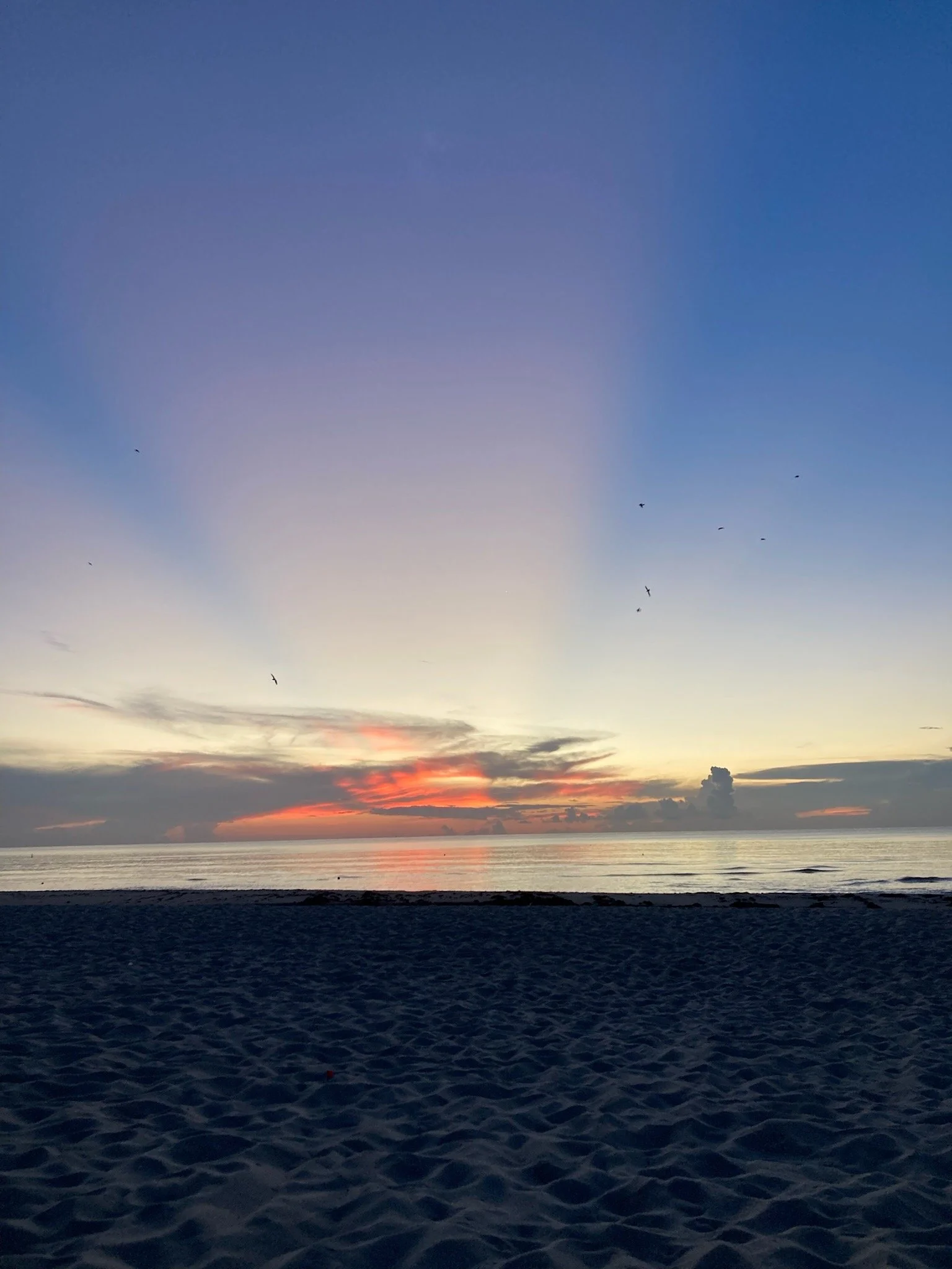 Mind-Body Reset Program