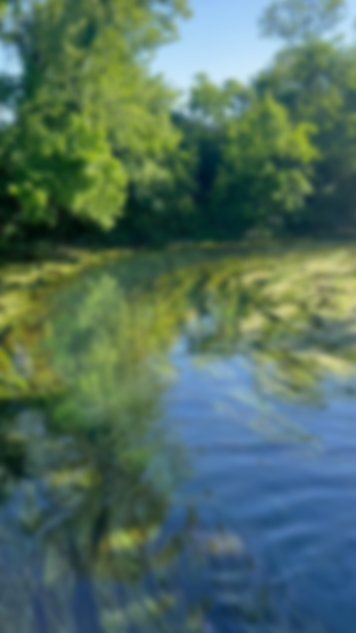 Policy Analysis Matrix