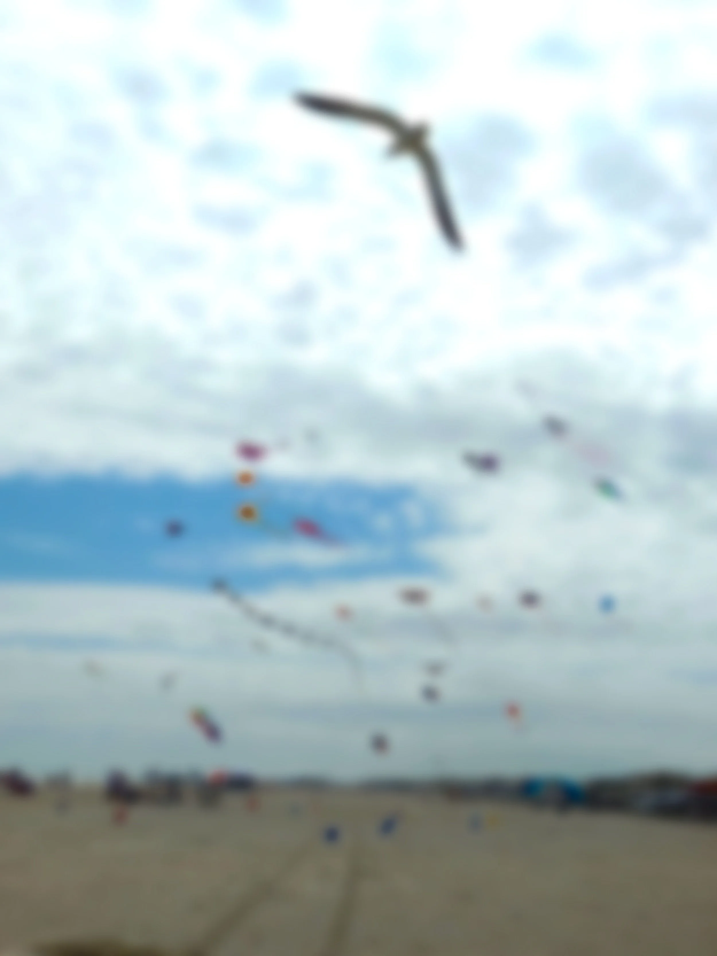 Effects of Vitamin D on Infant Growth and Development