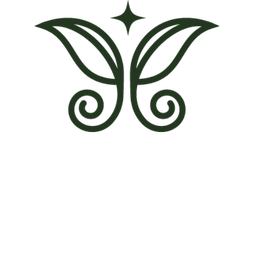 Stylized green butterfly with swirling wings on a black background.