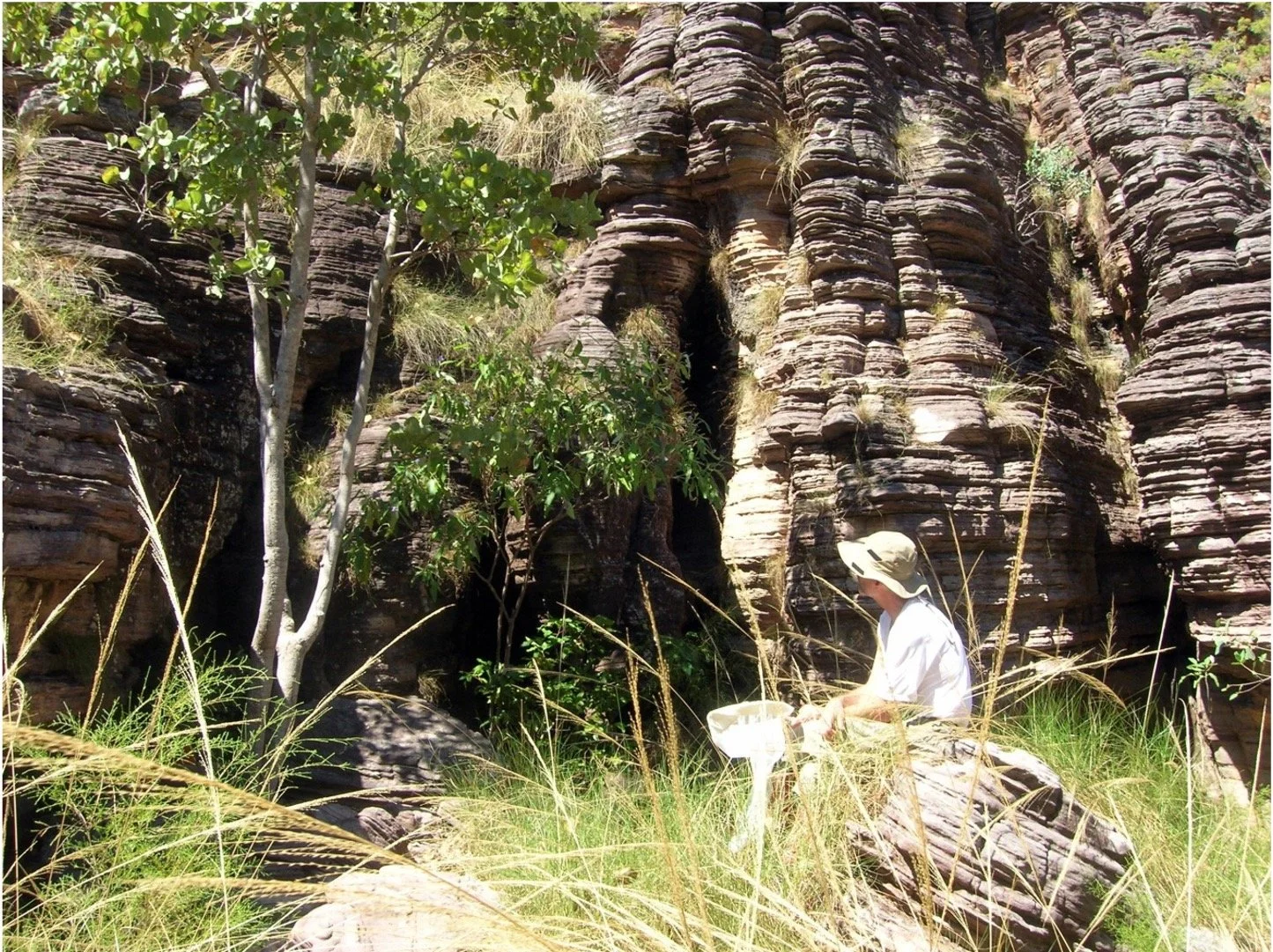 Dan Vogt observing pollinators, Kakadu National Park, 2009