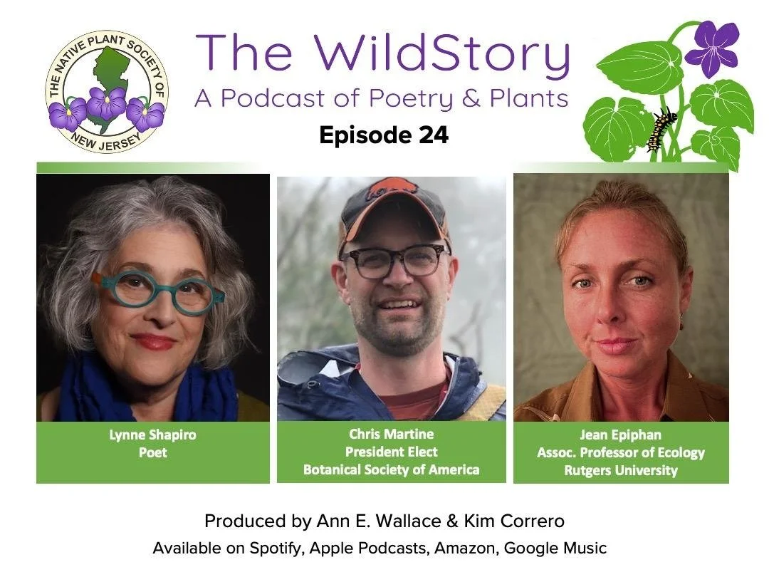 The WildStory: A Podcast of Poetry and Plants