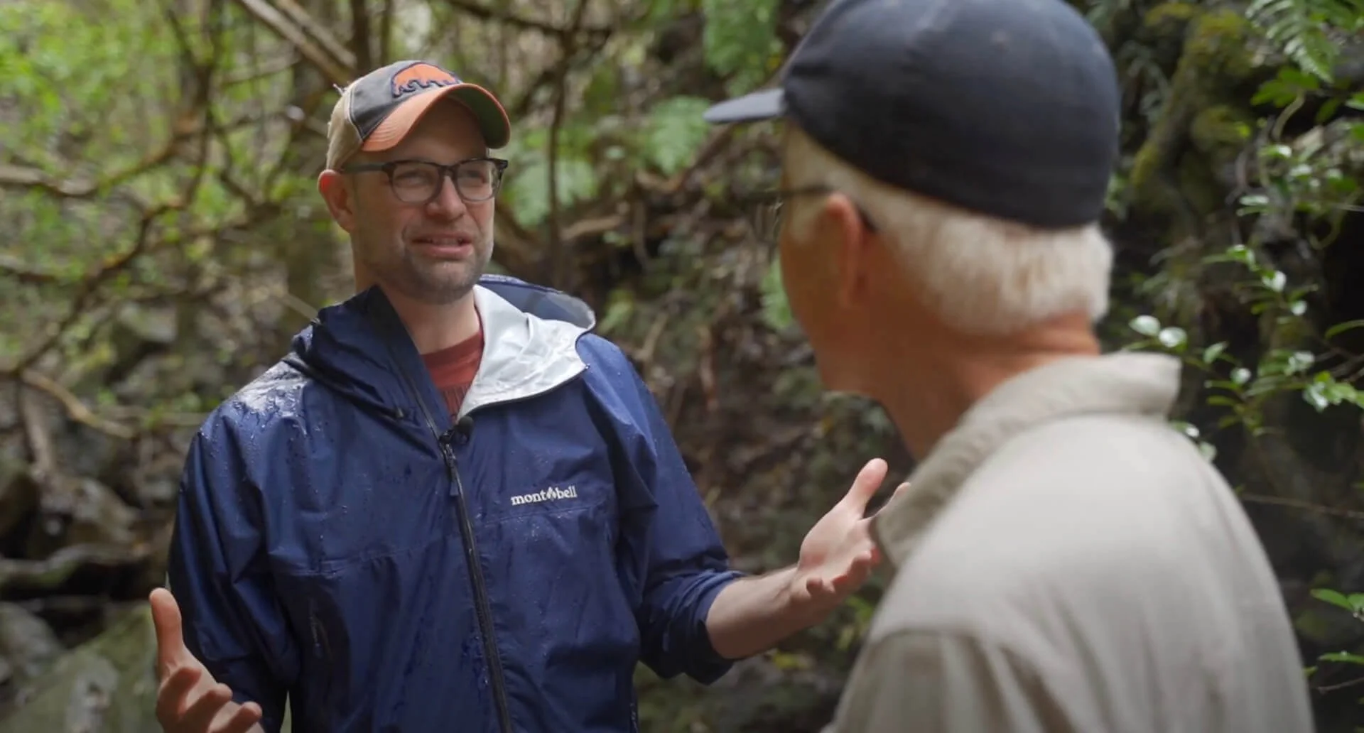 Cinema Verde Film Festival, Meet the Director