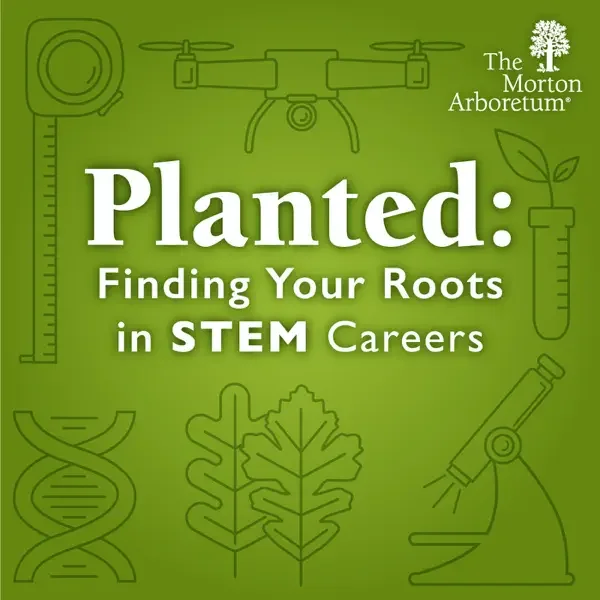 Planted: Finding Your Roots in STEM Careers