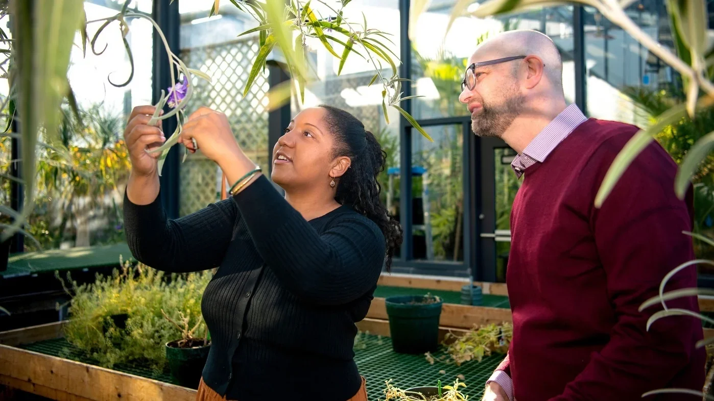 NPR Short Wave: A newly identified type of tomato has been hiding in plain sight