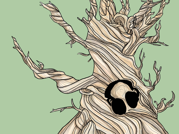 Planthropology: Conservation Genetics, Cool Plants, and Coffee Pot Ramen w/ Dr. Chris Martine