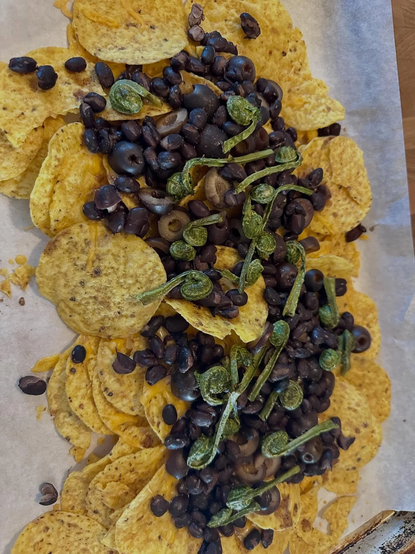 Fiddlehead nacho night! 

#TGIFNN #iamabotanist #ostrichfern