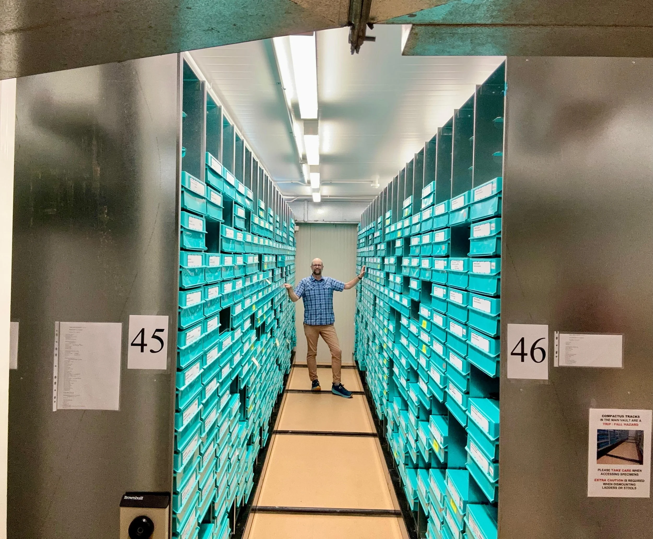 Happily back in the stacks at the Northern Territory #Herbarium in Darwin. Tomorrow we head out bush for more Solanum huntin&rsquo;. 

#iamabotanist #plantpeopleFTW