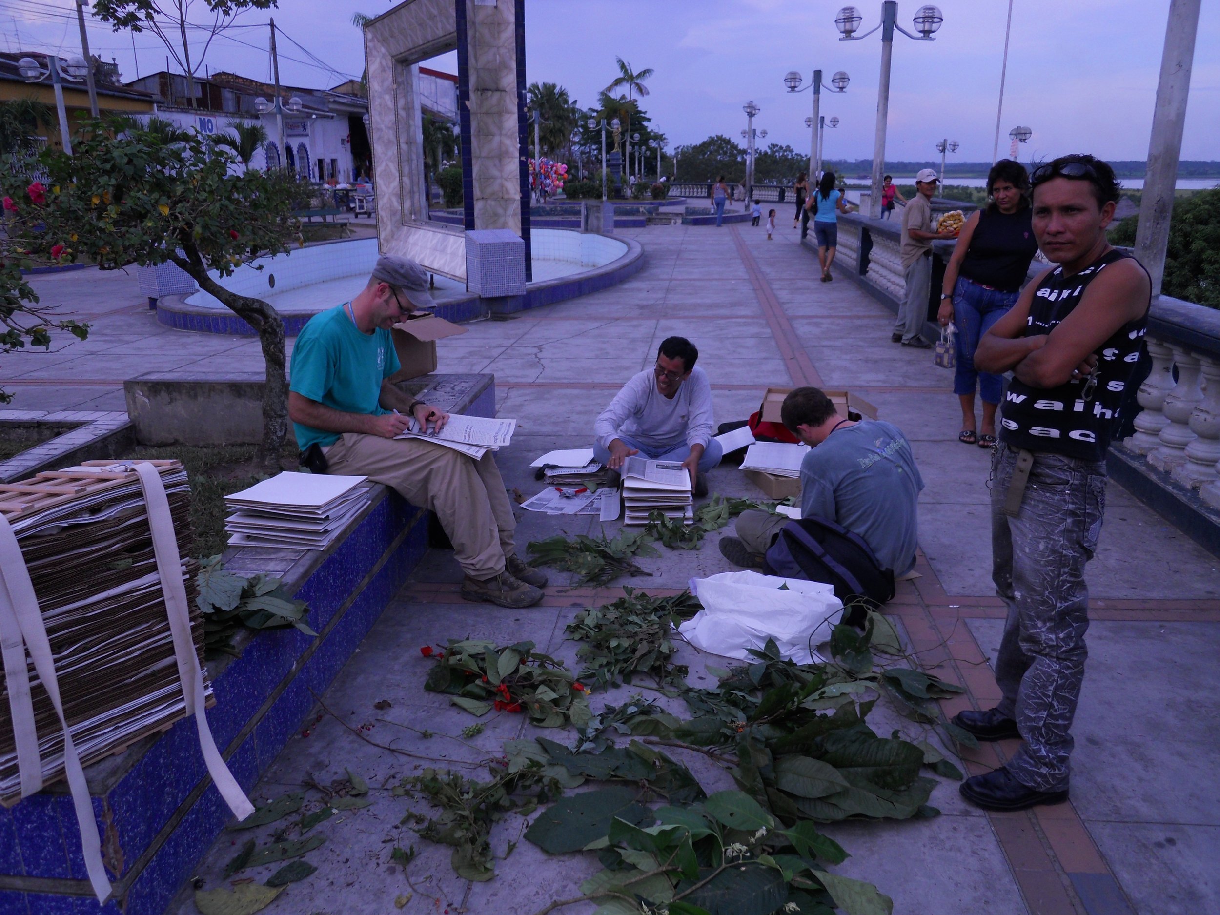Processing specimens in Iquitos, Peru. 2009.
