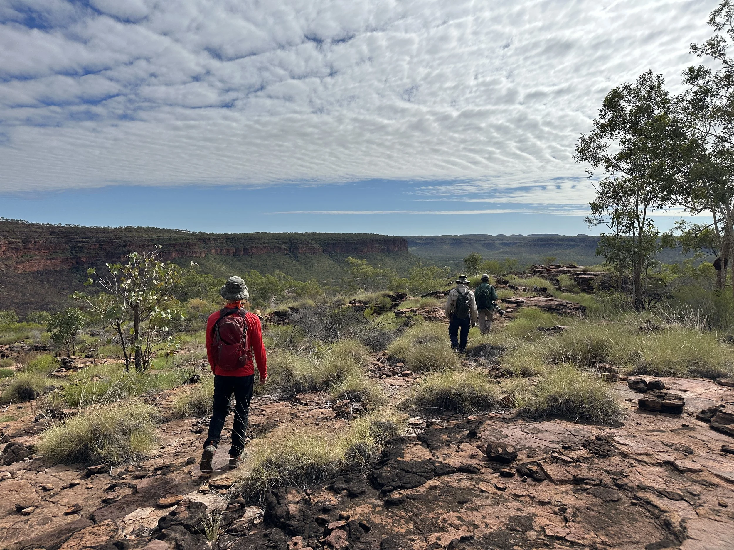 Victoria River Escarpment, Northern Territory. Australia 2025.