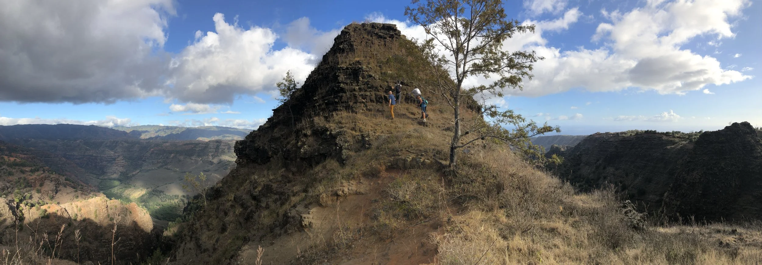 Revisiting rare Schiedea sites with Ann Sakai, Steve Weller, et al. at Waimea Canyon, Kaua'i, Hawai'i