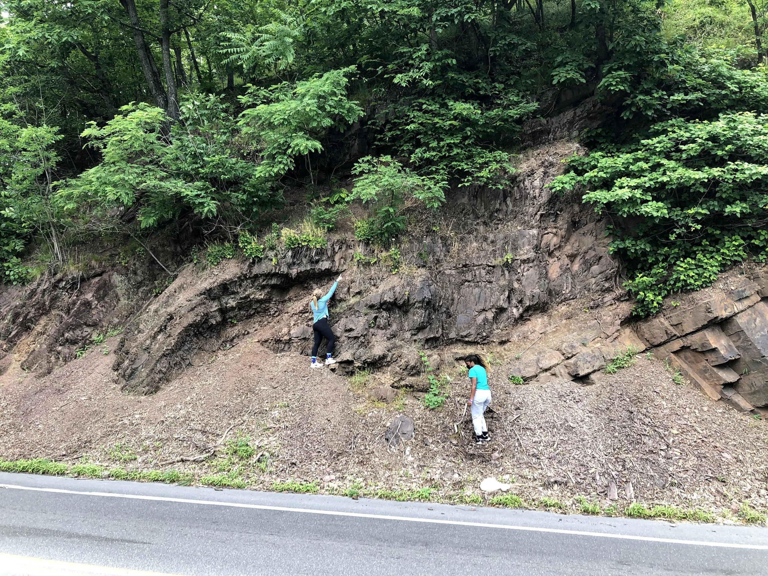 Maddie Wickers ‘23 and Anais Barnes ‘22 sampling Heuchera alba in the Susquehanna River Valley. 