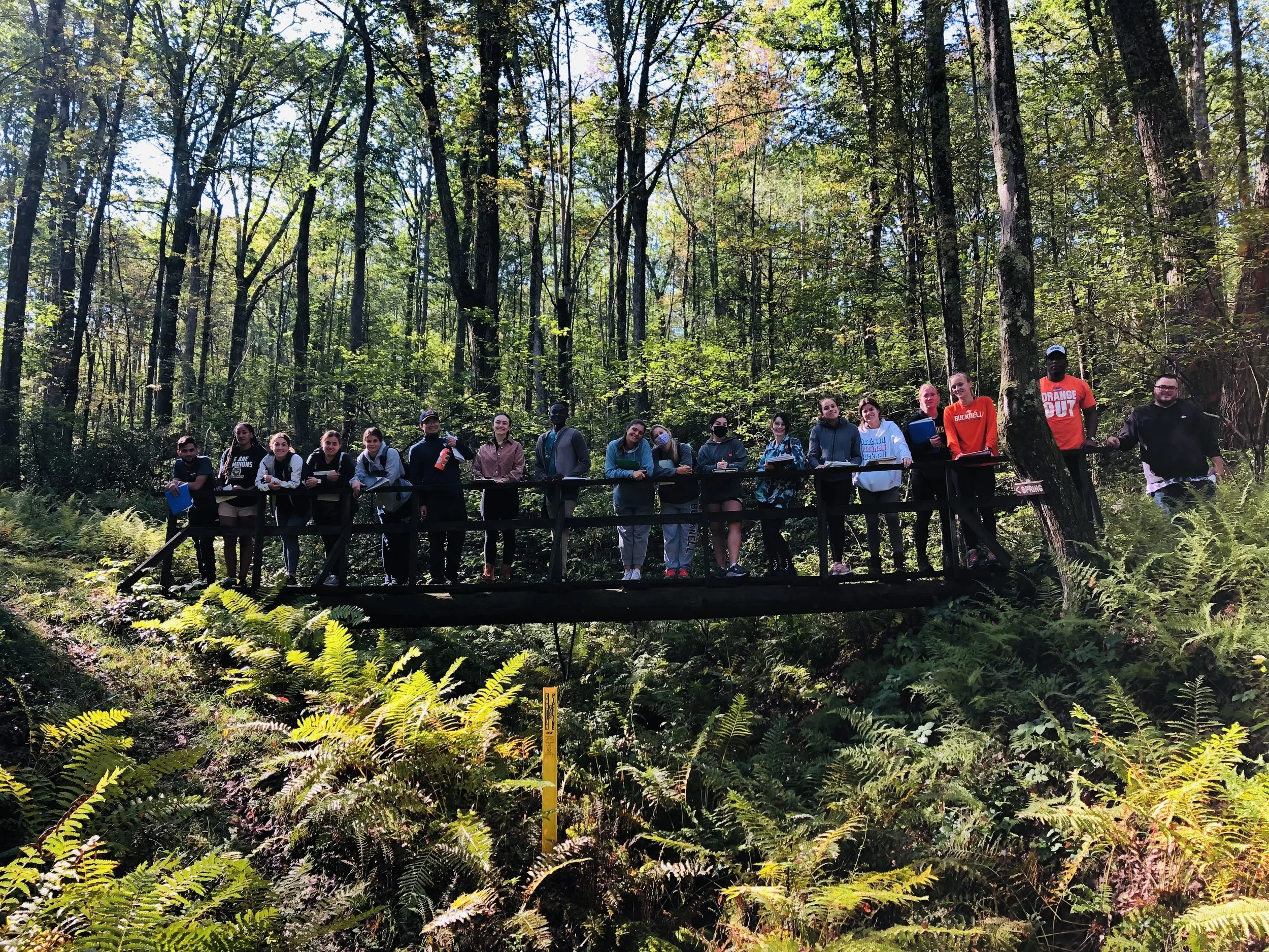 Field Botany class on PA's Mid-State Trail.