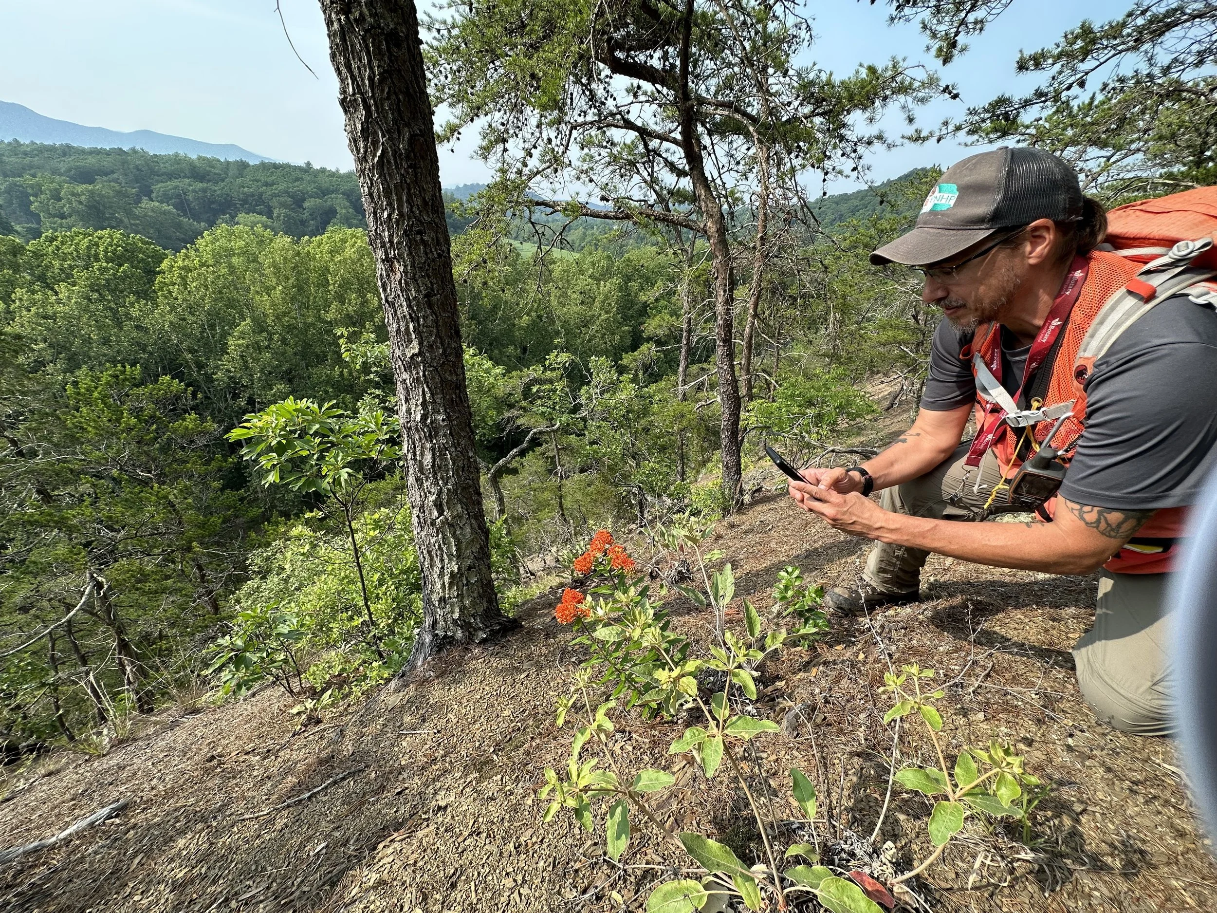 Assessing Appalachian shale barrens communities with Scott Schuette.