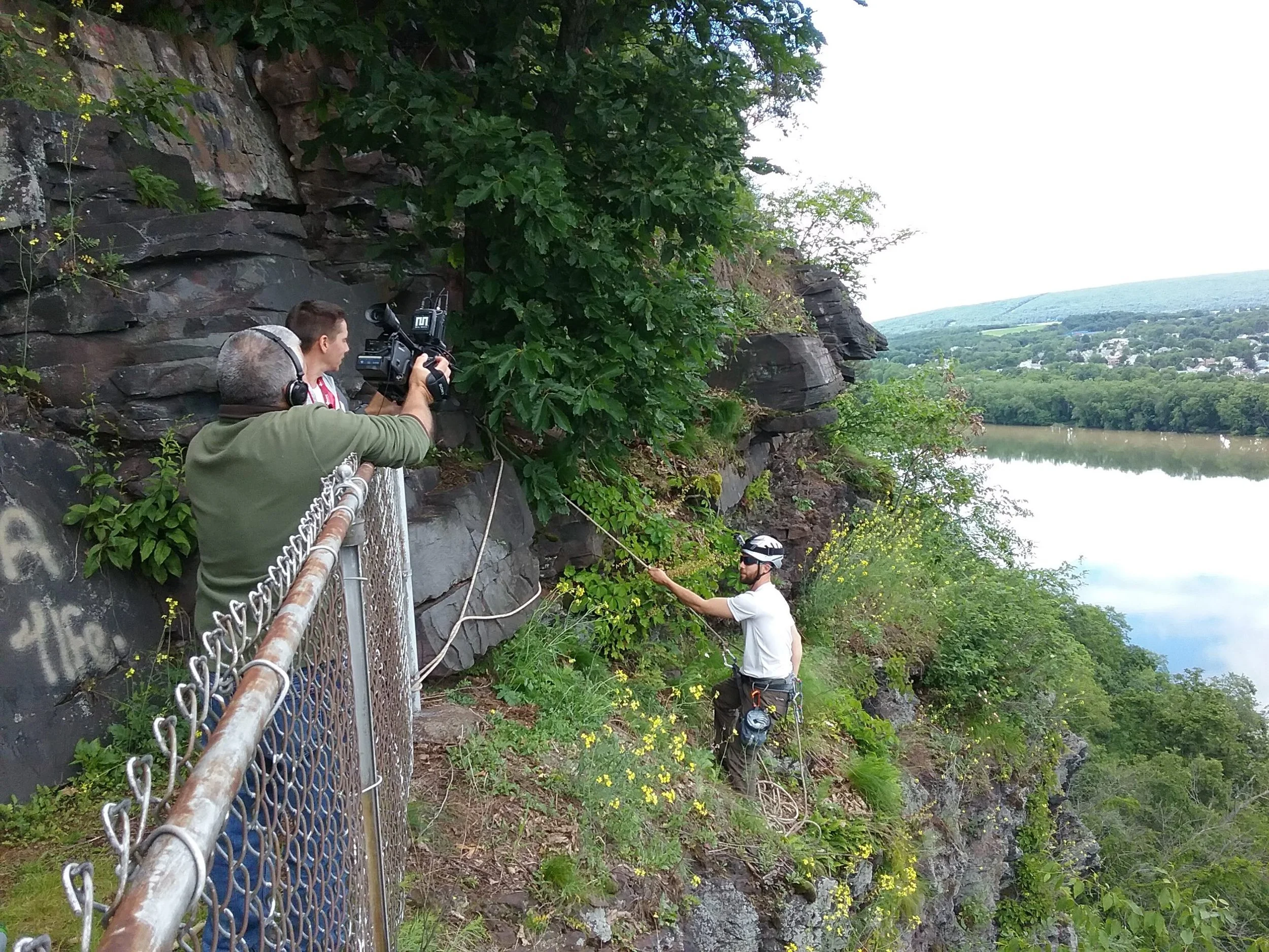 Jason Cantley surveying for rare cliff plants at Shikellamy Bluffs. 