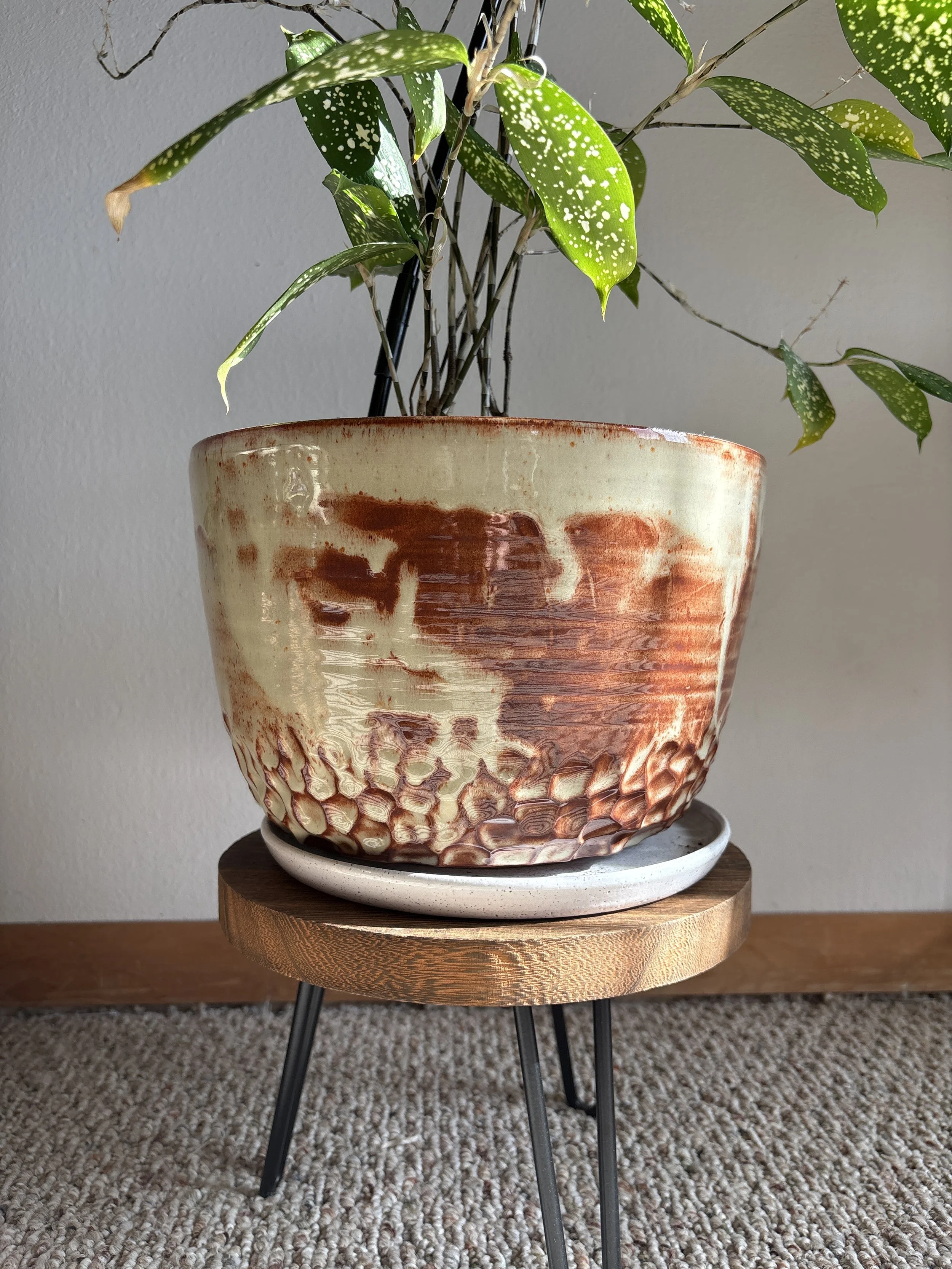 Large Thrown Planters
