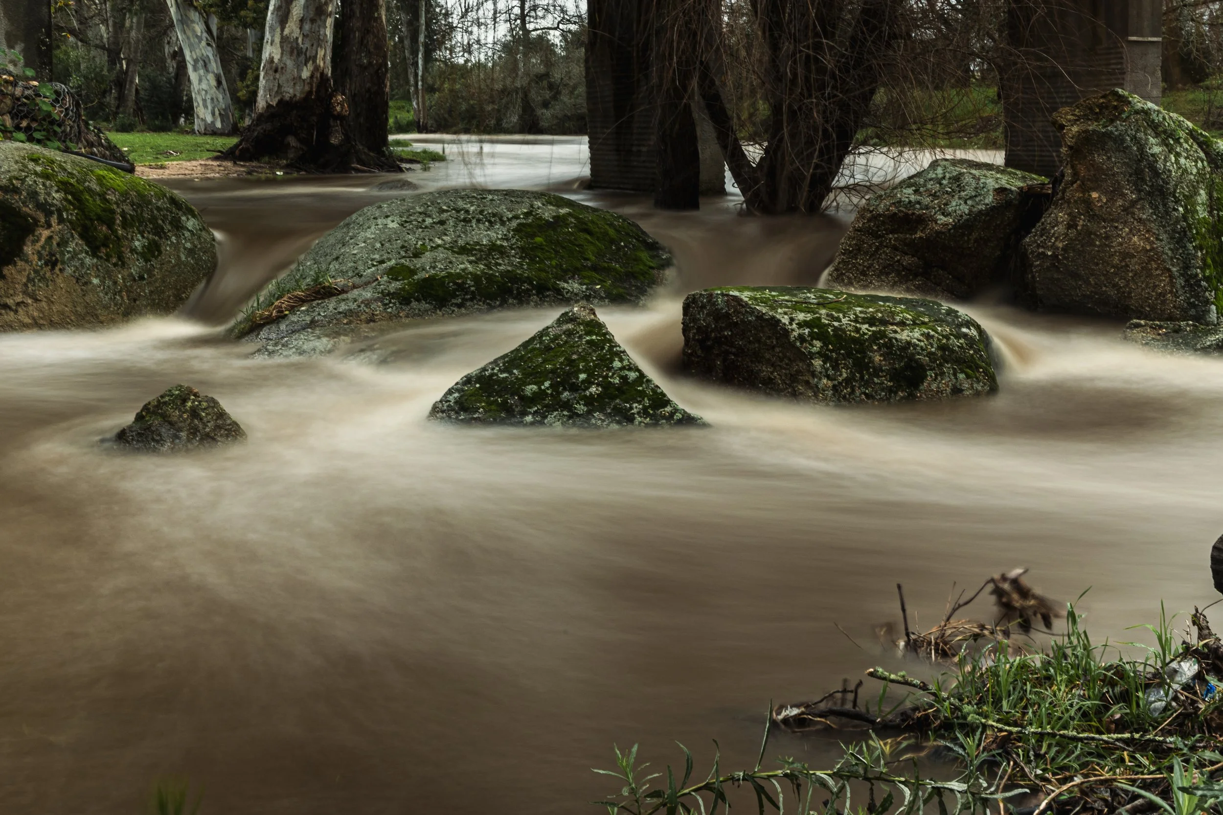 Spier_RAYCOXPHOTO-10AUGUST2025__2.jpg