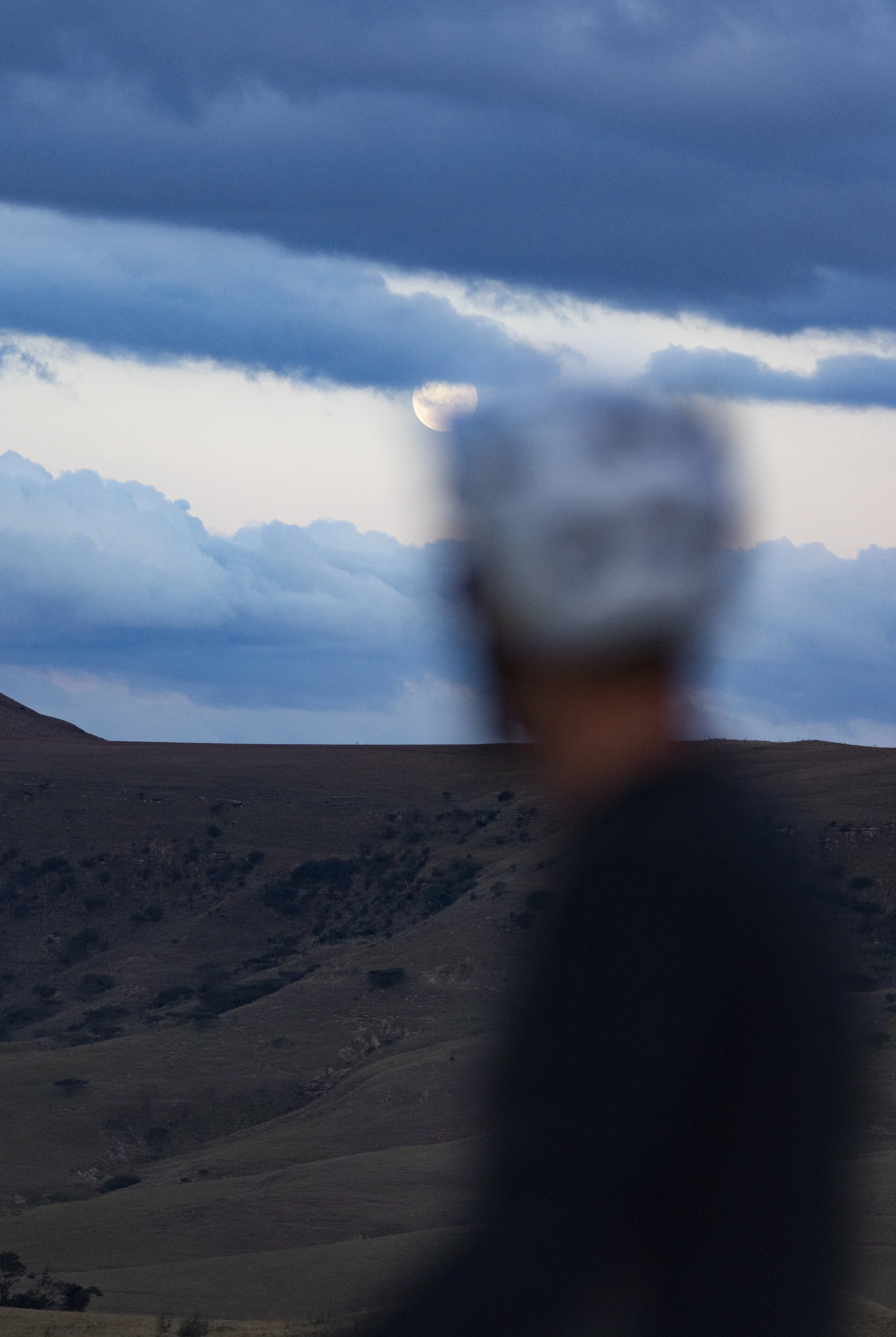 ROADTRIP-15MAY-R5-RAYCOX-_18.JPG