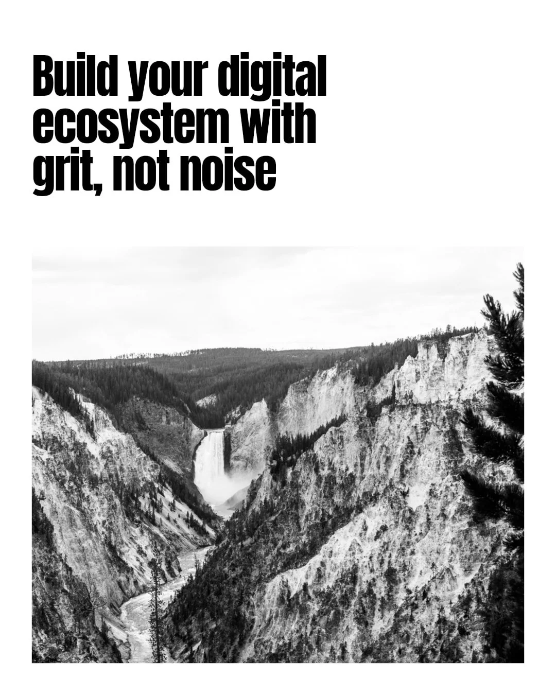 Here's the gritty truth: lifestyle brands don't grow by chasing every flashy trend. They grow by building systems rooted in real strategy, authentic storytelling, and data-driven decisions.

It's about crafting a digital presence that's as sharp as y