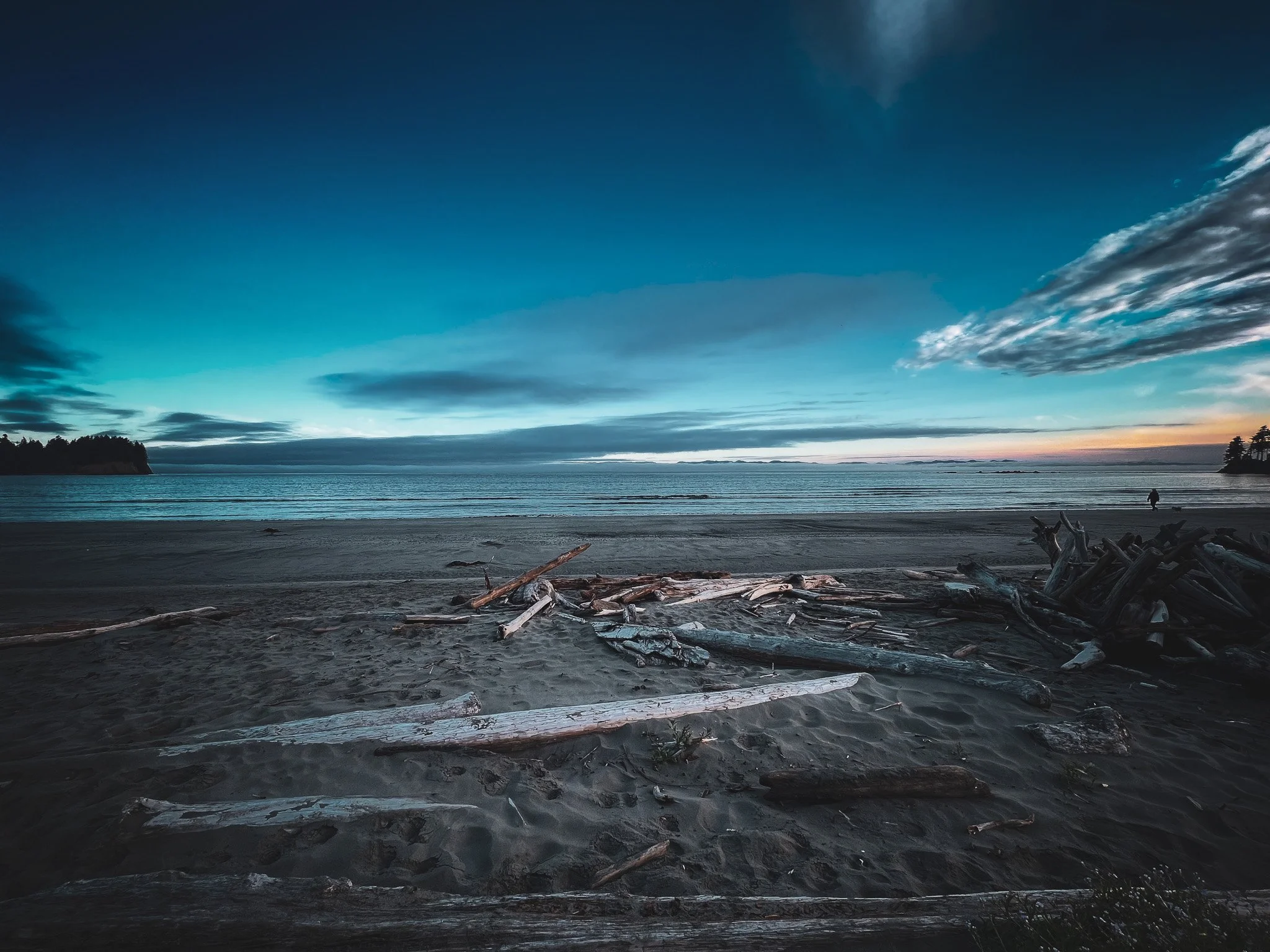 View of a beach at dusk with driftwood on the sand and calm ocean waves, dark clouds partly covering the sky, and a distant tree-lined shoreline.