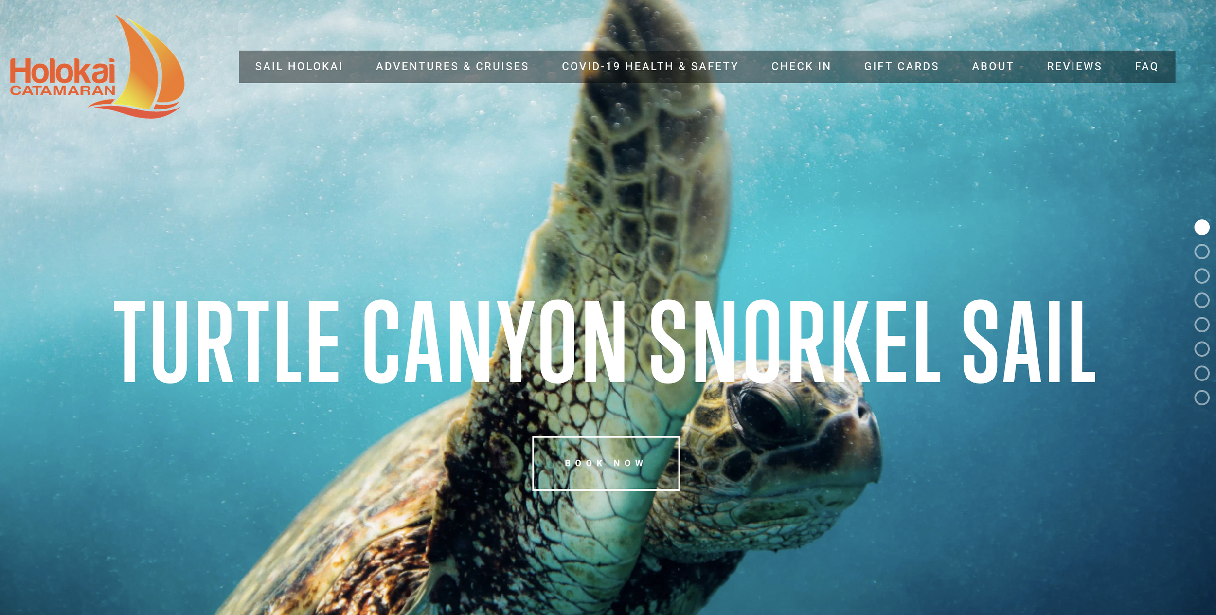 Underwater photo of a turtle's head and front flipper with water bubbles, promoting Turtle Canyon Snorkel Sail.